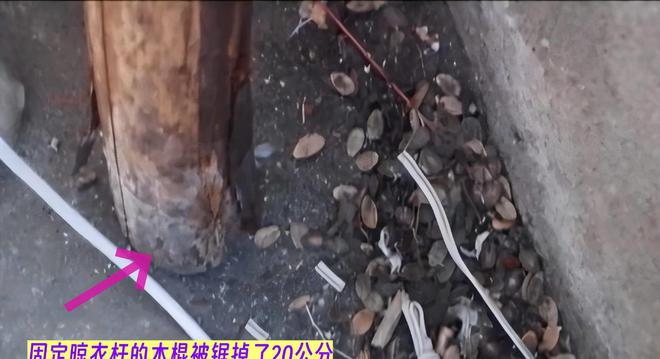 案件：妻子取天线万谋害妻子k8凯发入口2017年江西(图9)