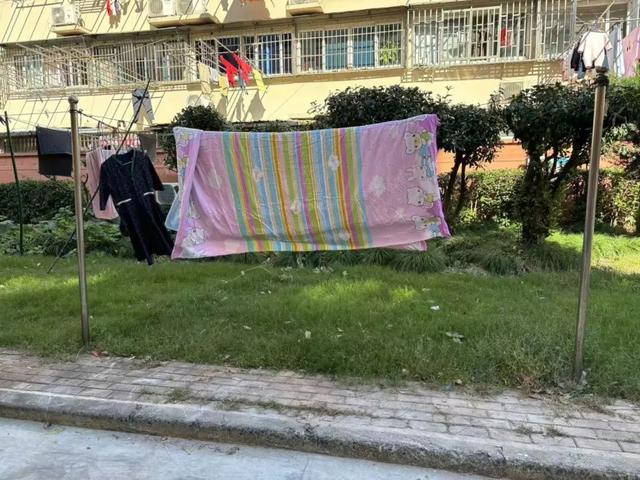 明凝聚向心力提升居民幸福感K8成为马竞重要合作伙伴文(图2)