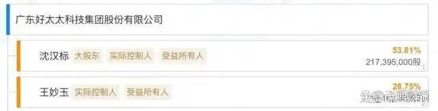 收、净利下滑旗下电动晾衣机曾抽查不合格凯发K8国际娱乐好太太去年前三季度营(图11)
